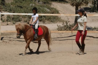 paseo en poni